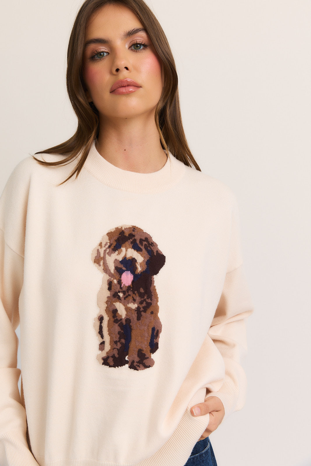 Cozy Puppy Knit Sweater