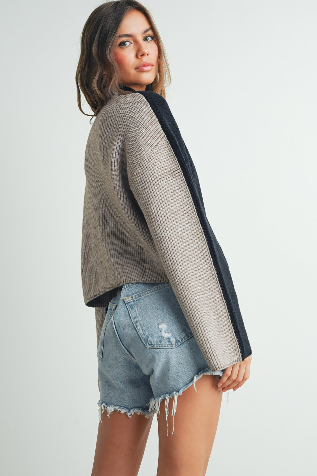 Two Tone Mock Neck Sweater