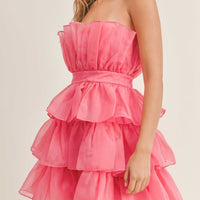 Organza Tulle Tiered Mini Dress