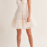 Tulle Mesh Bow Back Mini Dress