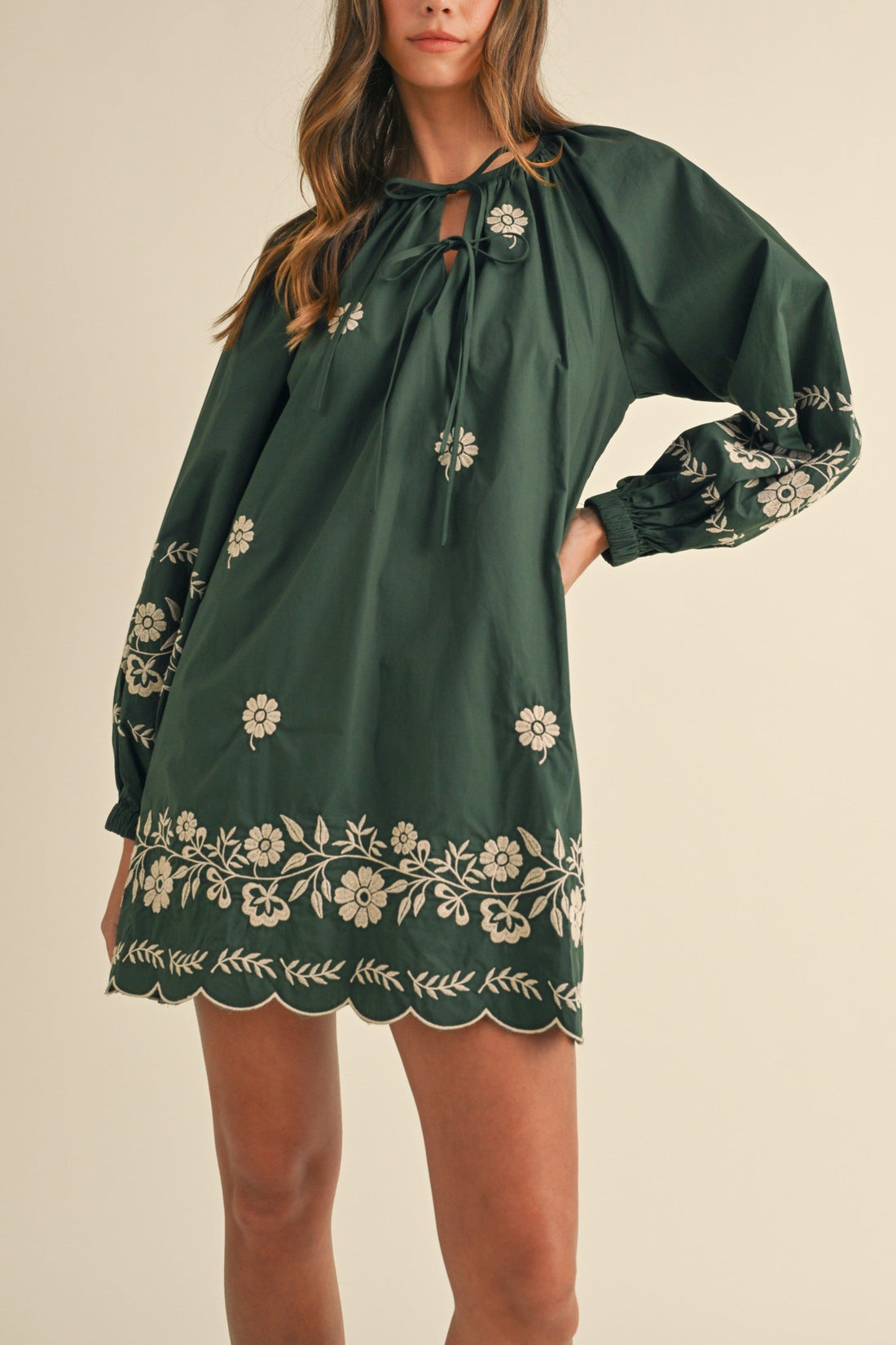 Embroidered Long Sleeves Shift Mini Dress