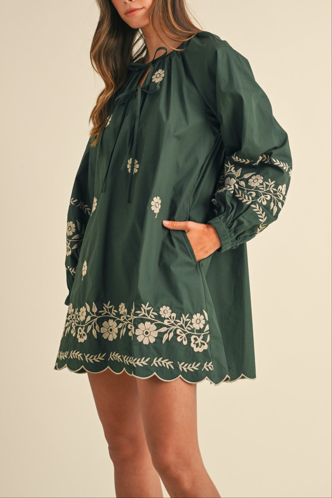 Embroidered Long Sleeves Shift Mini Dress