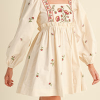 Floral Embroidered Babydoll Dress