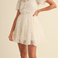 Textured Mesh Puff Sleeve Babydoll Dress
