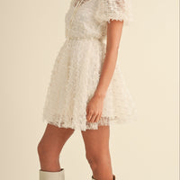 Textured Mesh Puff Sleeve Babydoll Dress