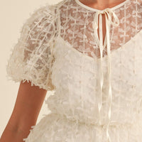 Textured Mesh Puff Sleeve Babydoll Dress