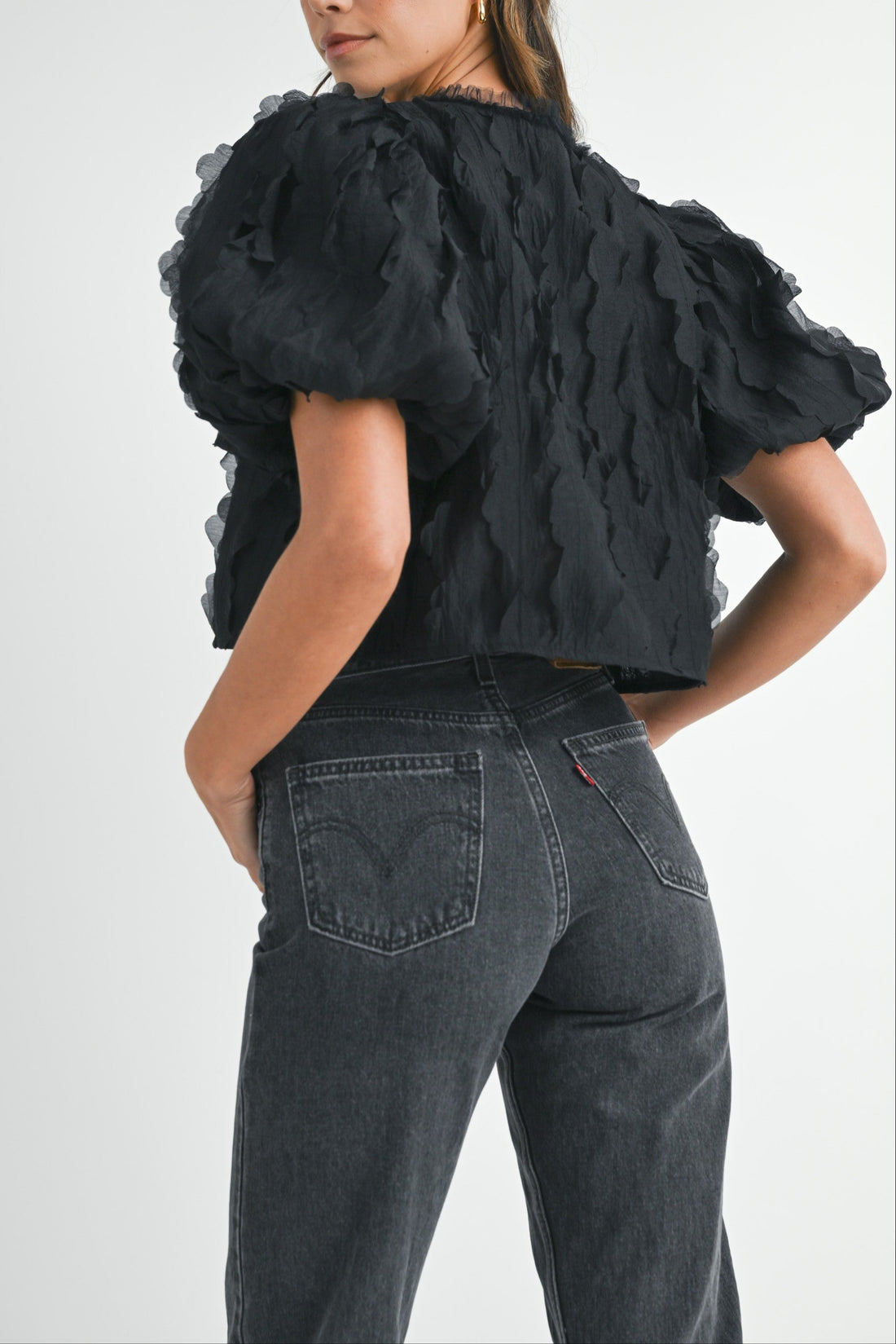 Textured Scallop Puff Sleeve Blouse Top