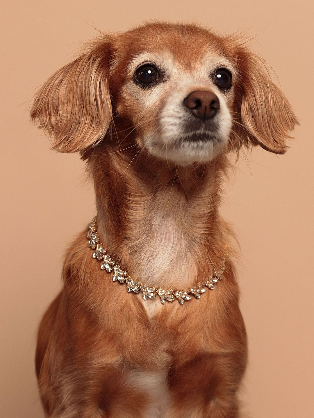 Elisajewels Mini Lucy Necklace